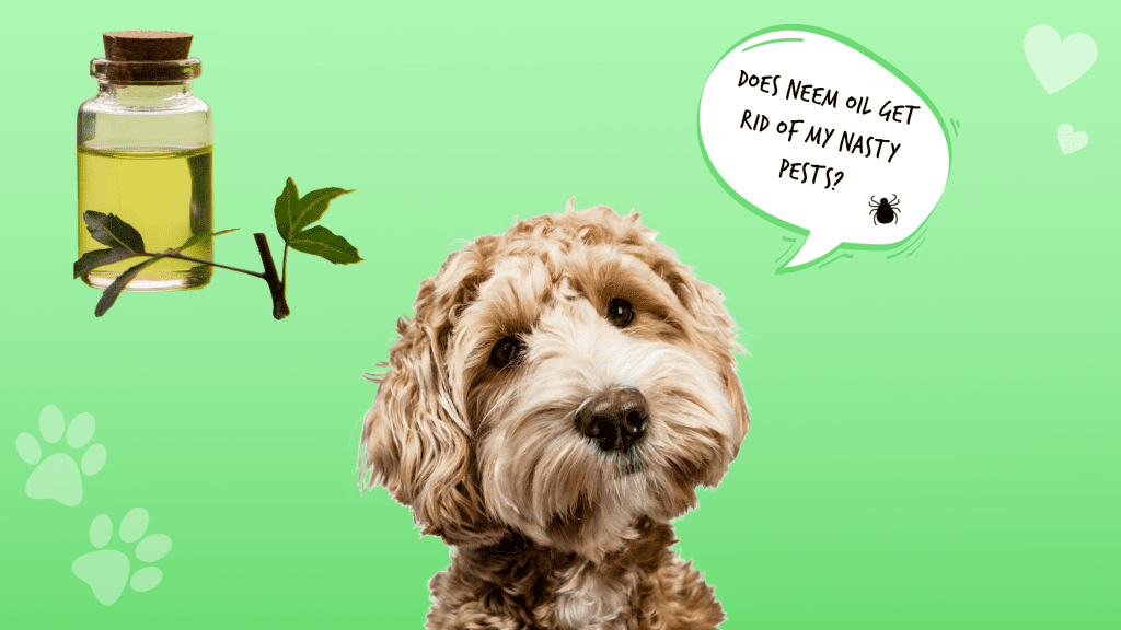why should my dog use Neem Oil Image