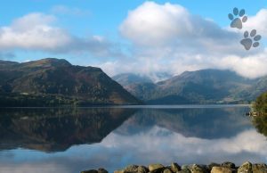 Cumbria - The Lake District - Dog Friendly Holiday UK