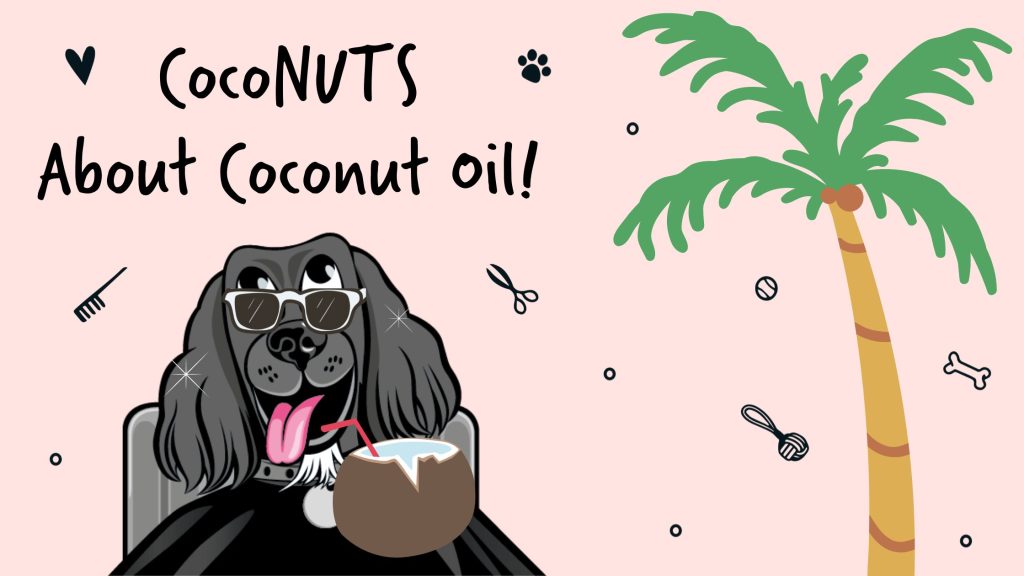 Coconut Oil Benefits Image