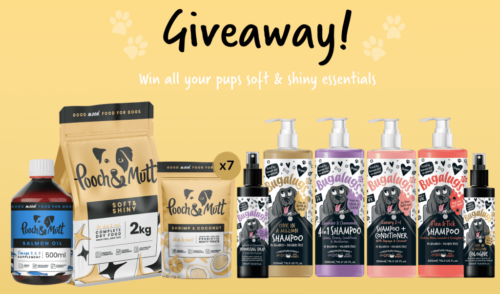 BugalugsxPooch & Mutt GIveaway