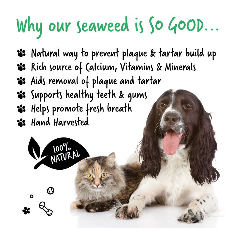Bugalugs Plaque Remover Benefits For Cats & Dogs