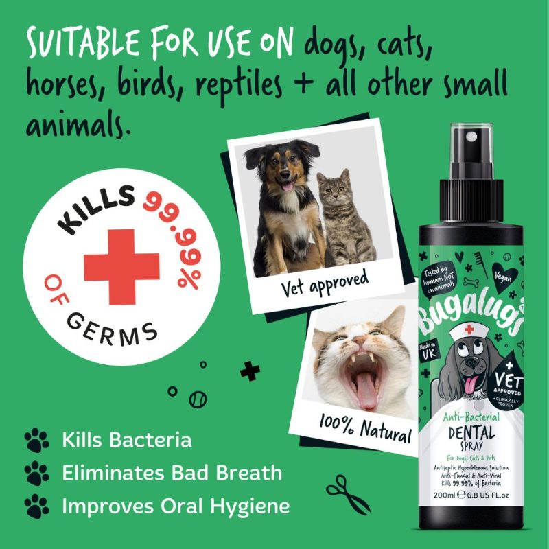 Anti-bacterial Formula Suitable for Pets Image
