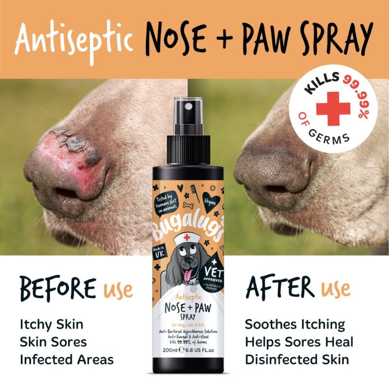 Before & After Antiseptic Nose & Paw Spray
