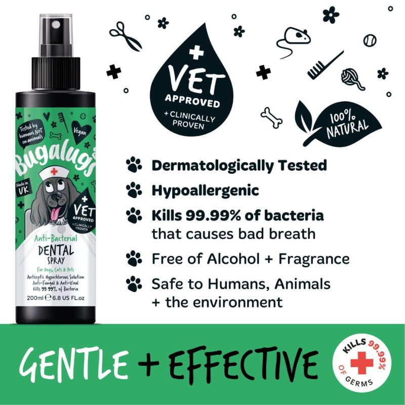 Gentle & Effective Anti-bacterial Dental Spray Image
