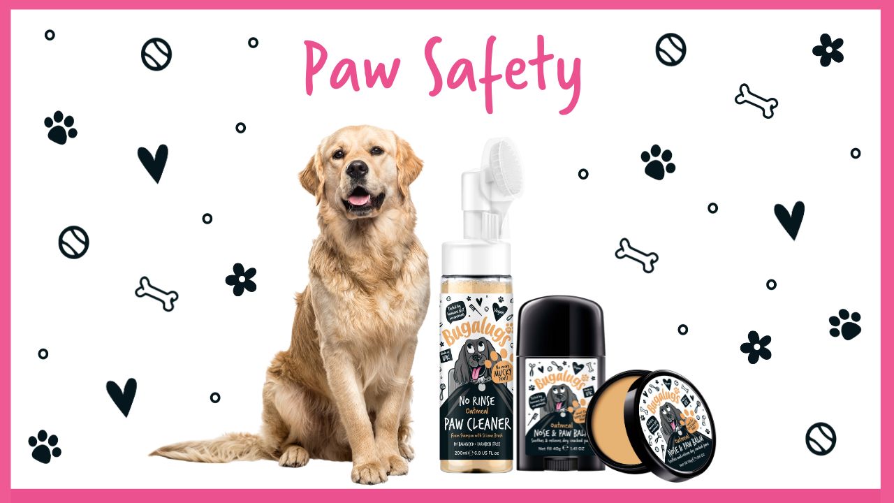 protecting-your-dog-s-paws-this-winter