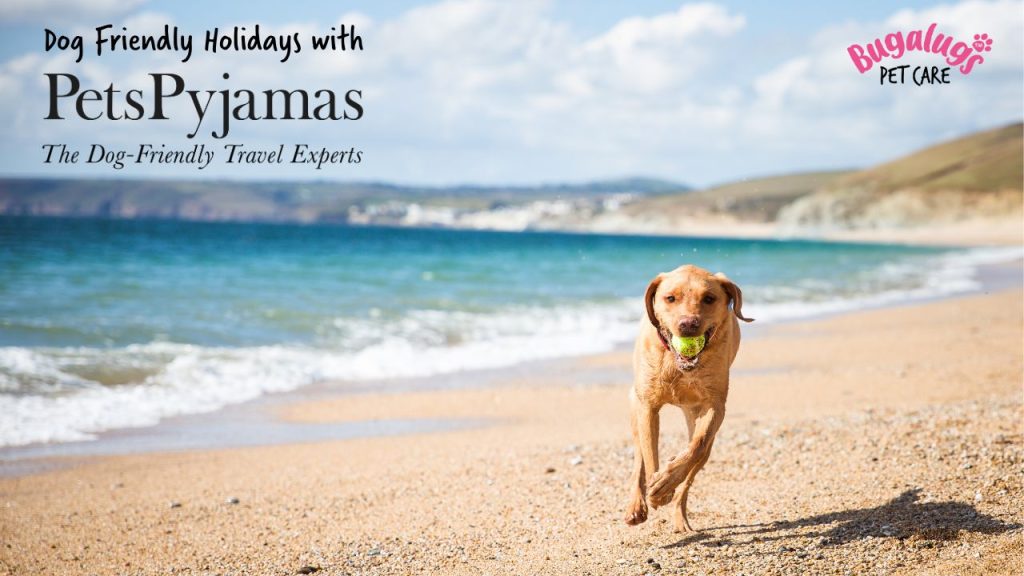 Dog-Friendly Holidays