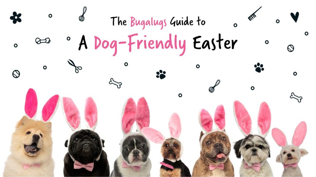 Pet Friendly Easter Blog Bugalugs Per Care