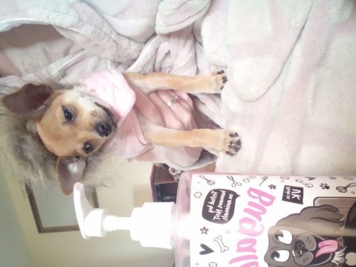 Baby Fresh Dog Shampoo photo review
