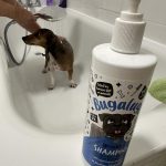 Wrinkle Shampoo photo review